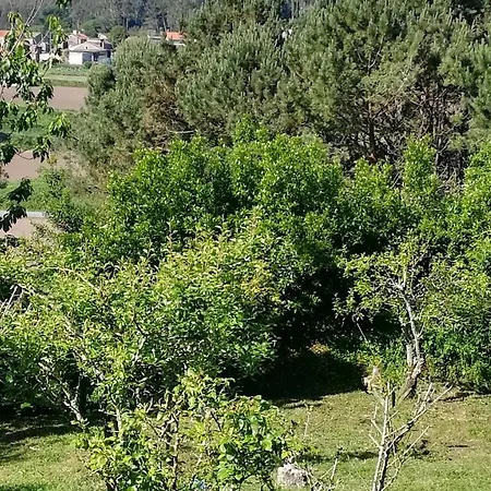 Сasa de vacaciones Luz Da Lúa - Casa Del Campo *