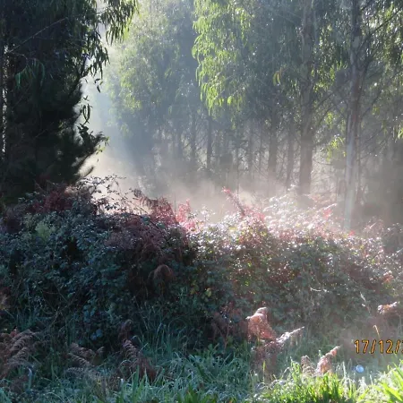 Luz Da Lua - Casa Del Campo Hébergement de vacances Muxía