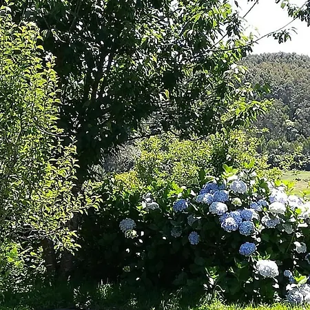 Luz Da Lua - Casa Del Campo 度假居 *