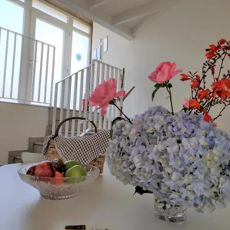 Luz Da Lua - Casa Del Campo